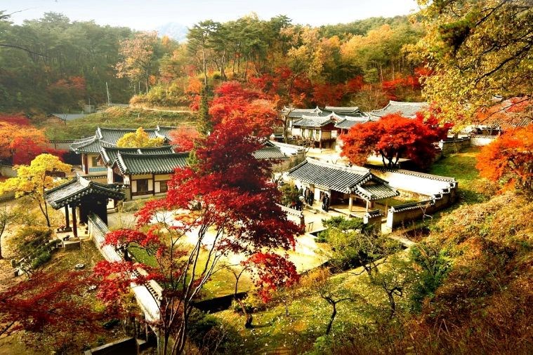 Tour Hàn Quốc: Seoul - Everland - Đảo Nami Khởi Hành Từ Đà Nẵng